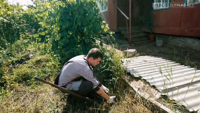 Лето | Родительский дом | Сажаем розы | Влог #купилдомвдеревне #жизньвдеревне #родительскийдом