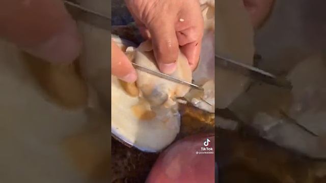 как добывают жемчуг