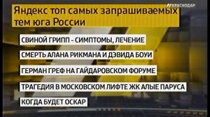 «Яндекс» назвал самые популярные поисковые запросы краснодарцев за неделю