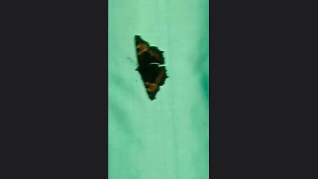 слово никогда не было твоим\word was never yours смотреть онлайн