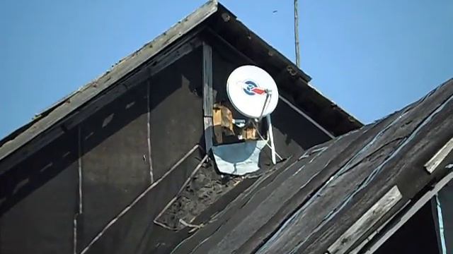 Установил Триколор ТВ HD смотреть онлайн