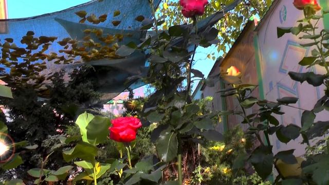 Сегодня полный Изобилья День! Он Времена объединяет. смотреть онлайн