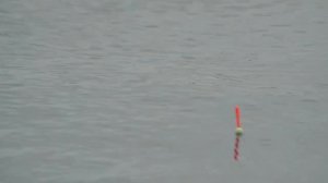 ОСЕННЯЯ РЫБАЛКА НА ОКУНЯ. ОКУНЬ БЕЗ УМА ОТ ТАКОЙ ВКУСНЯХИ.