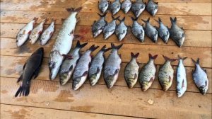 Куда поехать отдохнуть в России