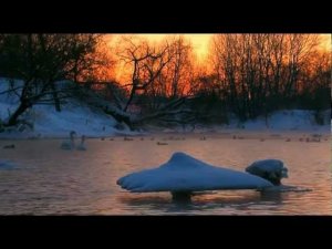 Цветы зимы - музыкальный клип