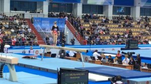 Мельникова Ангелина - бревно