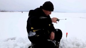 Рыбалка на окуня зимой: зимние приманки и снасть