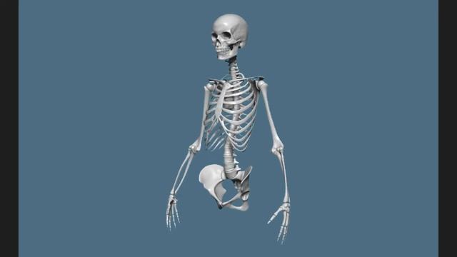 Лепка костей рук и ног смотреть онлайн