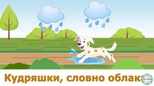 «От носика до хвостика»