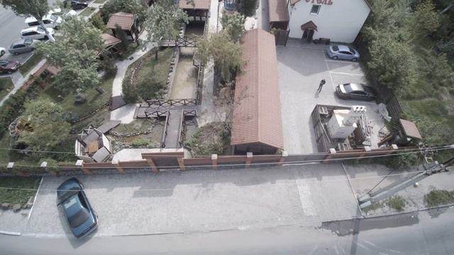 Кафе "Гуси-Лебеди" Мариуполь смотреть онлайн