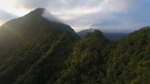 Расцветай ретрит обложка