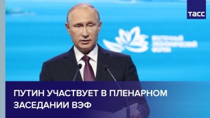 Путин участвует в пленарном заседании ВЭФ