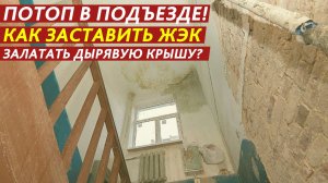 Как заставить ЖЭК залатать дырявую крышу?