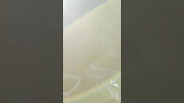 2020 Nissan Kicks SR смотреть онлайн