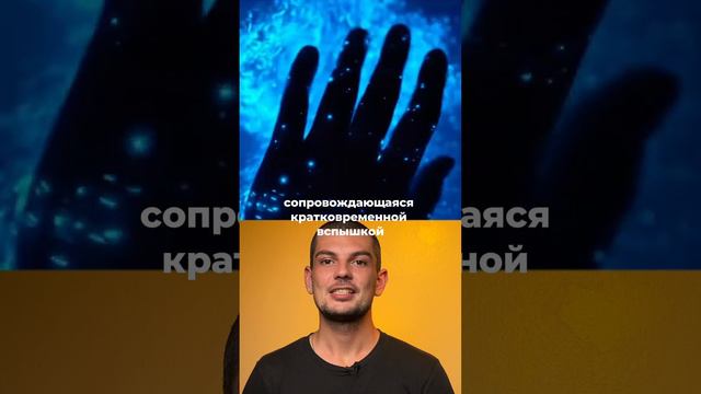 ✨Невероятно красивый светящийся планктон в Таиланде