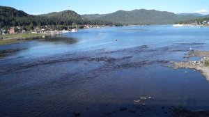 Начало реки Бия.