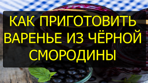 Как приготовить варенье из чёрной смородины. Рецепт варенья из чёрной смородины