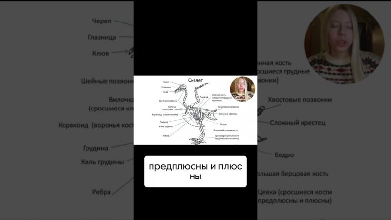 Хочешь бесплатно подготовиться к ЕГЭ на 85+ баллов?  Пиши ЕГЭ нашему боту - ссылка в описании