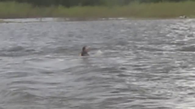 снегоход по воде,тонем) смотреть онлайн