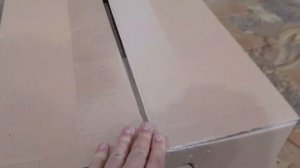 Выгонка тюльпанов онлайн. Приехала луковица. Сроки посадки тюльпанов на выгонку.