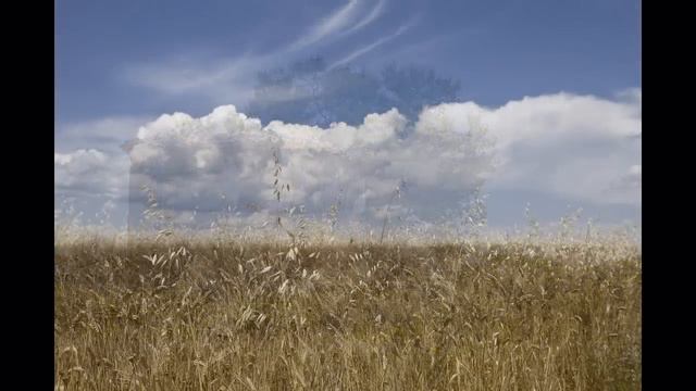 lavanda смотреть онлайн