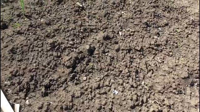 Зачем нужна весенняя перекопка ?! смотреть онлайн