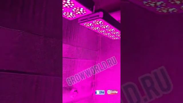 ГРОУШКАФ В200хШ240хГ120см LED APOLLO 12х2 SUPERSILENT. 106000p смотреть онлайн