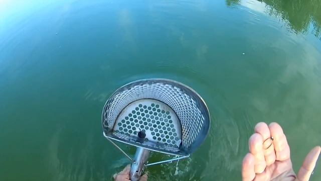 О таком поиске мечтают все копатели/Золото и серебро/И находки были и потери/Я знал что найду все/