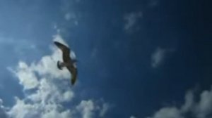 Людмила Хан ВЕРНИСЬ В ПУСАН