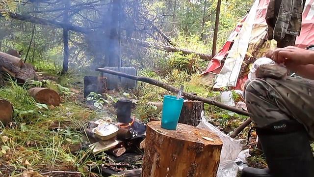 Охота на боровую 2022г, одни белки, да куницы!! смотреть онлайн