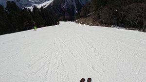 Домбай, февраль 2024, трасса "Лесная" (зеленая). Видео 4К