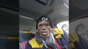 Monkey cab driver