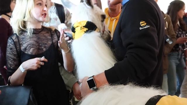 КАК ПРОХОДЯТ ВЕЧЕРИНКИ ДЛЯ ВИДЕОБЛОГГЕРОВ? смотреть онлайн