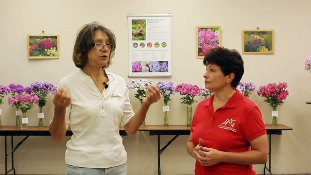 МИР ФЛОКСОВ 2021 в Ботаническом саду им. Петра Великого смотреть онлайн