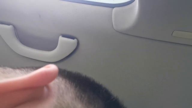 молится или  загадывать желания гаду? смотреть онлайн