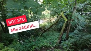 ДЕВЯТКИНО МУРИНО САНКТ-ПЕТЕРБУРГ МУРИНСКИЙ ПАРК #питер #мурино #девяткино