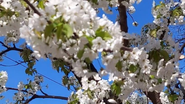 30 июня праздник. Мануйло и Савелий. Ярило. Что нельзя делать. Народные традиции и приметы