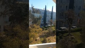 Школьная пора, клип на песню, сквозь года слышу я мамин голос , возвращаться пора