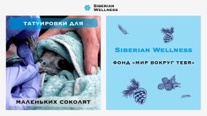 Татуировки для маленьких соколят | Фонд "Мир вокруг тебя"