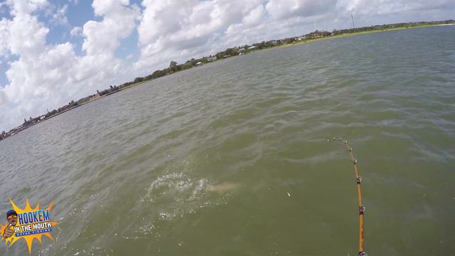 REDFISH SPAWN IS NUTTY! ft.North Florida Angler  SHAPESHIFTING SHARKS!  The BULL REDS ARE RUNNING! смотреть онлайн