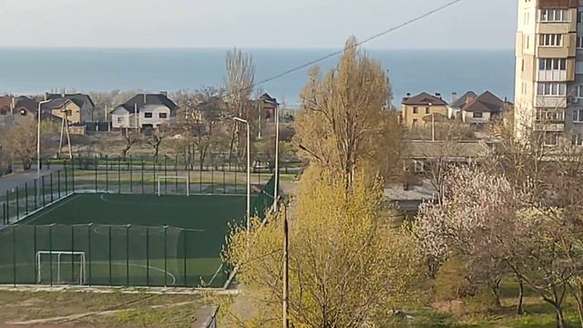 Жёлтые тюльпаны.Цветы в доме. смотреть онлайн