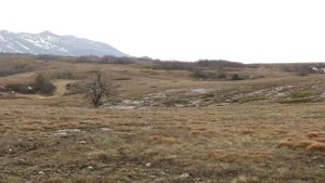 Весна на Чатыр-Даге. Поляны сон-травы. Крым.