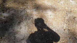 Сибирские просторы  ЗАТО Северск  п  Самусь, озеро Круглое