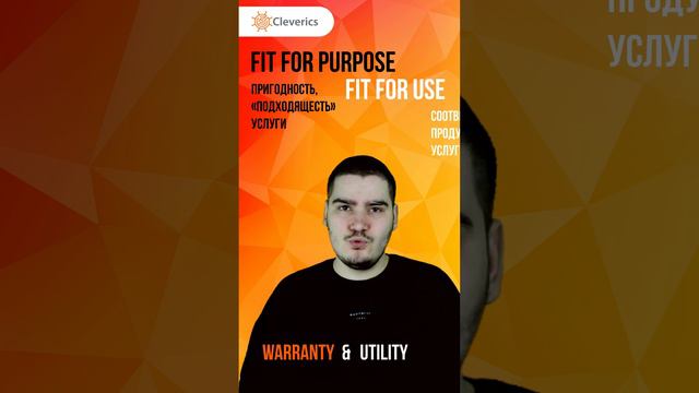 Что такое Fit for Purpose и Fit for Use. Основы ITIL4
