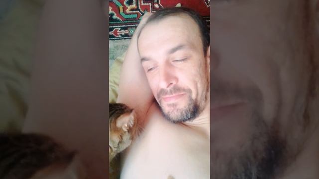 Кошачий шугаринг смотреть онлайн