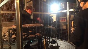 Александр Петров #зановородиться