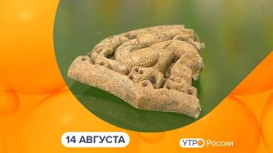 Утро России. Калуга (14.08.2024)