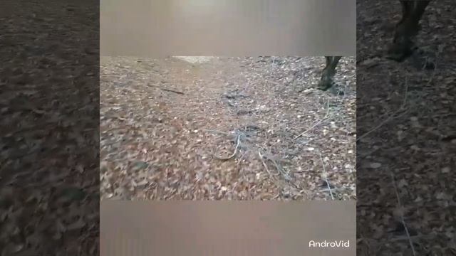 Прогулка по природе Азербайджана.