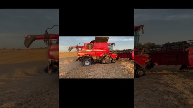Grains & Gains 2022 Harvest