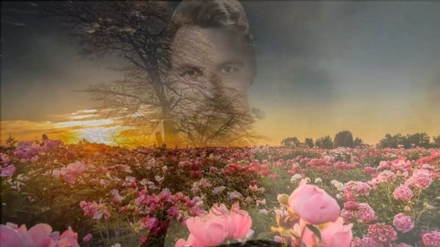 ОБРЫВАЕТСЯ ЦЕПОЧКА смотреть онлайн